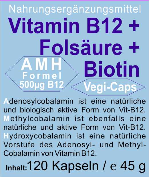 B12 bioaktive Form mit Folsäure und Biotin 120 vegetarische Kapseln