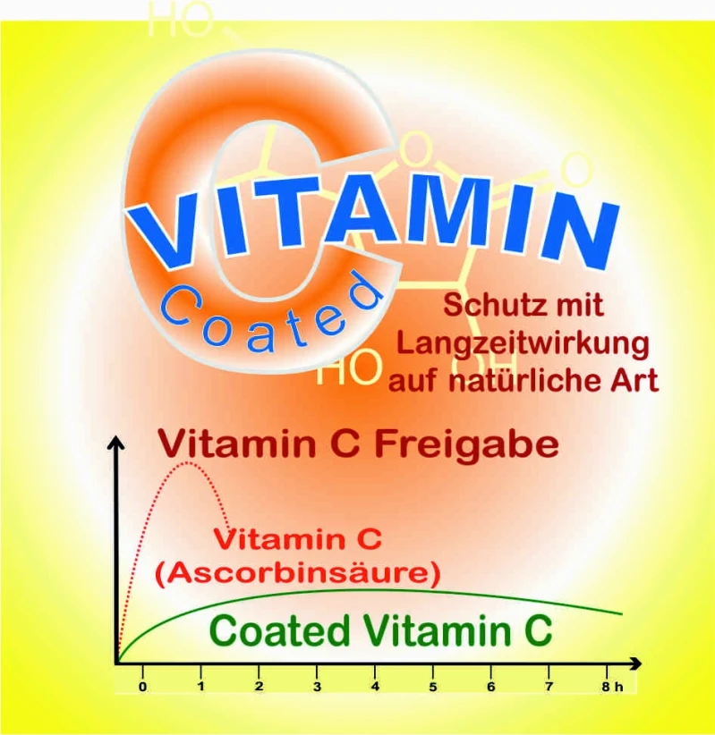 Vit-C Langzeit 120 Kapseln vegetarisch 500mg