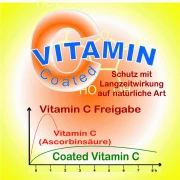 Vit-C Langzeit 120 Kapseln vegetarisch 500mg